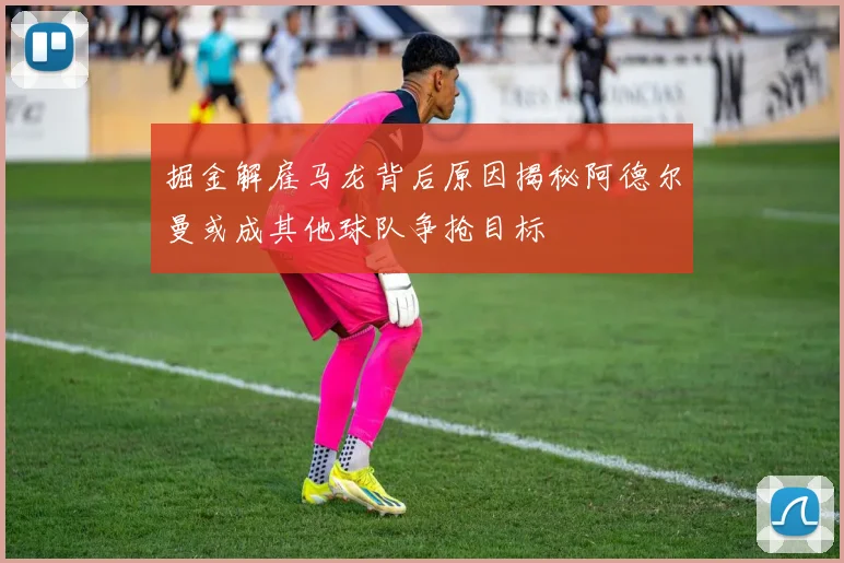 掘金解雇马龙背后原因揭秘阿德尔曼或成其他球队争抢目标