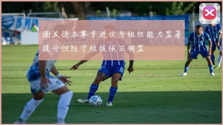 谢泼德本赛季进攻与组织能力显著提升但防守短板依旧明显