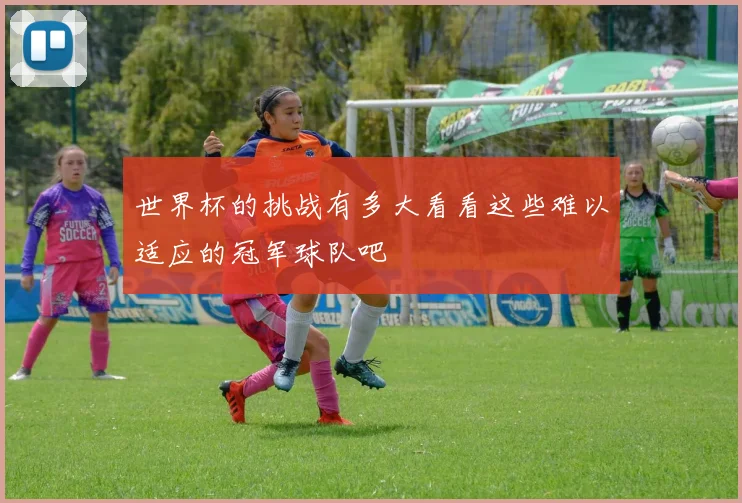 世界杯的挑战有多大看看这些难以适应的冠军球队吧